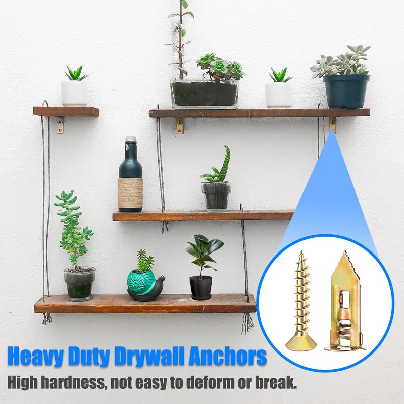 Bemaka 336Pcs Toggle Bolts Heavy Duty Drywall Anchors and Screws Assortment Kit, 11 Sizes Metal & Plastic Wall Anchors Kit with Screw, Wall Hanging Kit for Art Decor Shelves Picture Mirror Curtain - Image 5